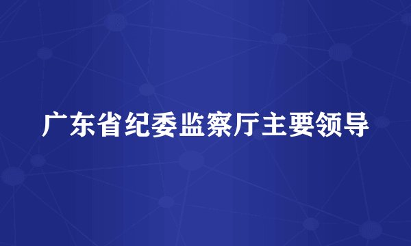 广东省纪委监察厅主要领导