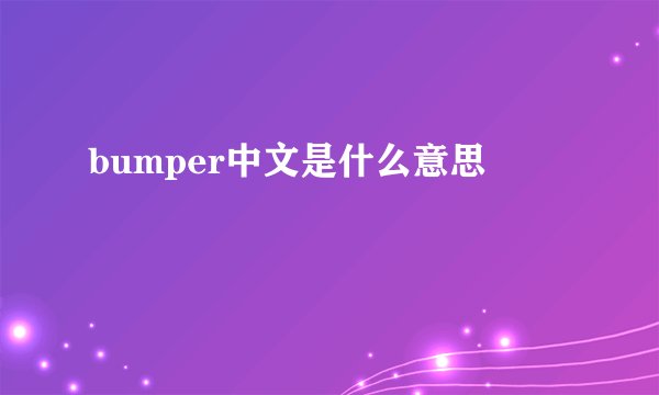 bumper中文是什么意思
