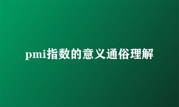 pmi指数的意义通俗理解