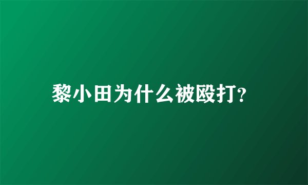 黎小田为什么被殴打？