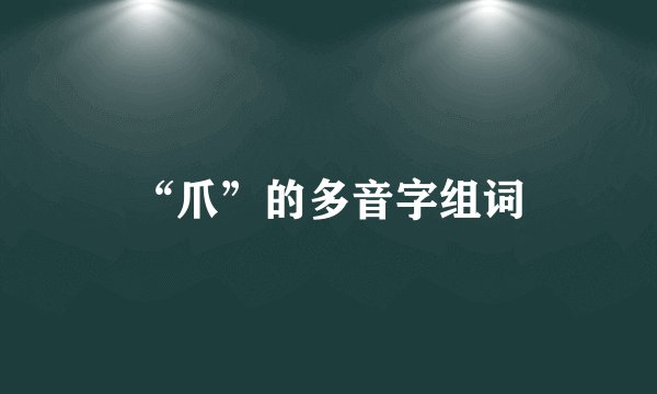 “爪”的多音字组词
