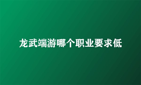 龙武端游哪个职业要求低