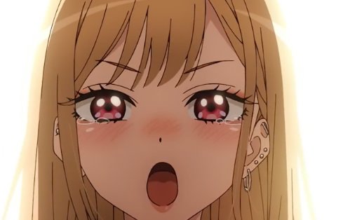 《更衣人偶》坠入爱河多少集？