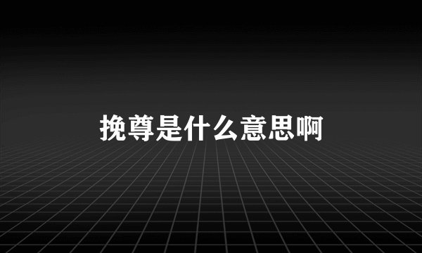 挽尊是什么意思啊