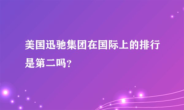 美国迅驰集团在国际上的排行是第二吗？