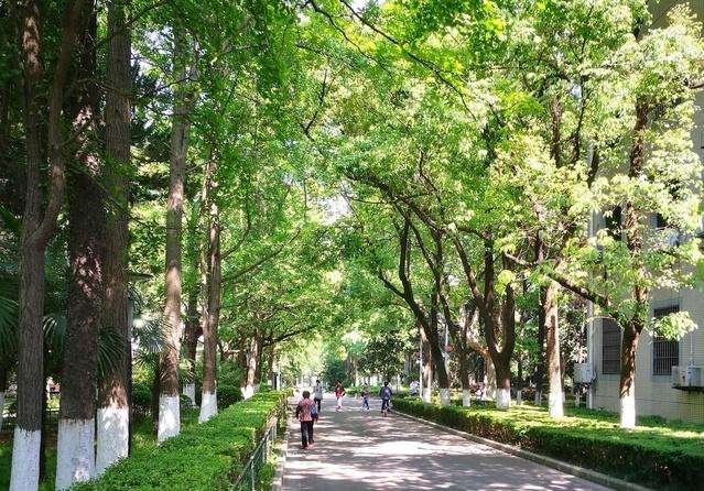 24岁女孩离世,父母捐其器官救6人,这个姑娘有多美?