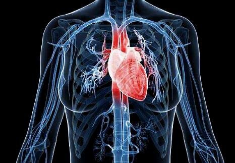 早期的冠心病吃什么药?什么药效果好呢?