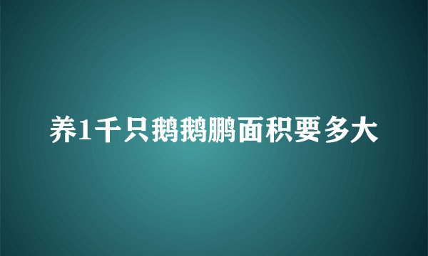 养1千只鹅鹅鹏面积要多大