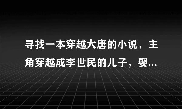 寻找一本穿越大唐的小说，主角穿越成李世民的儿子，娶了武则天。