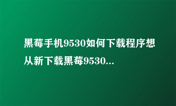 黑莓手机9530如何下载程序想从新下载黑莓9530手机程序