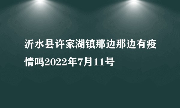 沂水县许家湖镇那边那边有疫情吗2022年7月11号
