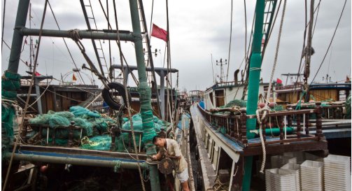 临海全市被淹！历史上有可与利奇马匹敌的台风吗？