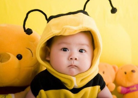 8个月的宝宝可以吃尚可诗吗?该怎么吃?