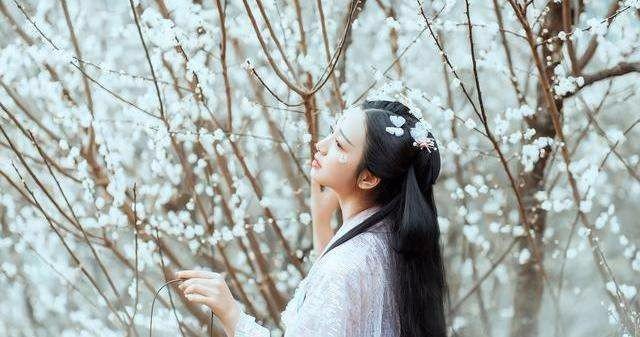 《孤芳自赏》被印证抄袭，杨小壮坚持说是自己原创，真相到底是什么呢？