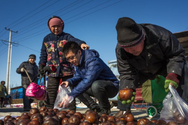什么样的女生才能嫁给东北人?