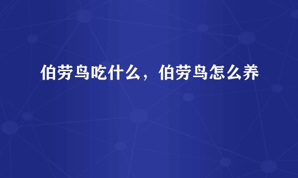 伯劳鸟吃什么，伯劳鸟怎么养