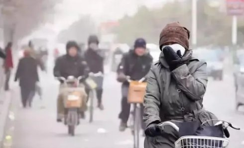 最高13级!大风突袭沈阳,倒了近300棵树,大风天气该注意什么?