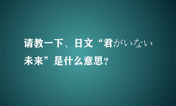 请教一下、日文“君がいない未来”是什么意思？