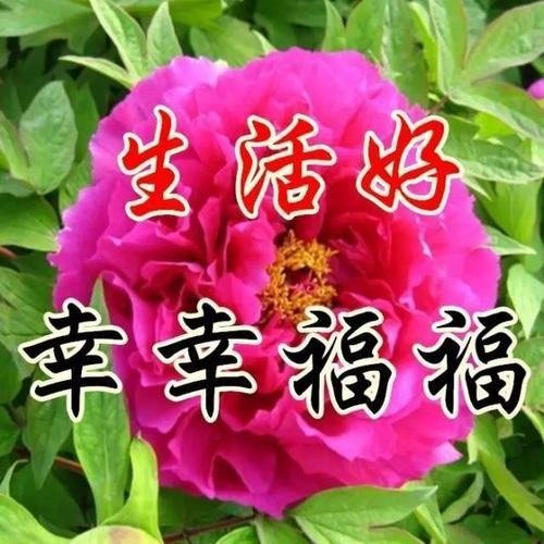 同事退休欢送会怎么讲话