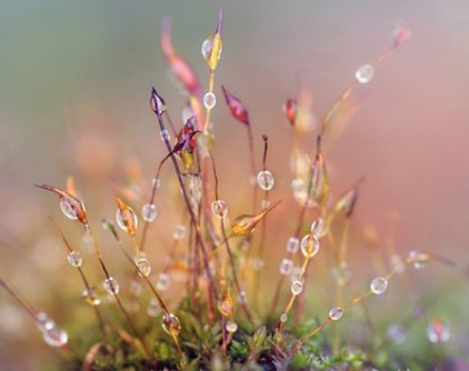 二十四节气于哪一年列入世界非物质文化遗产名录?