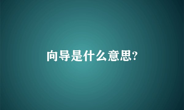 向导是什么意思?