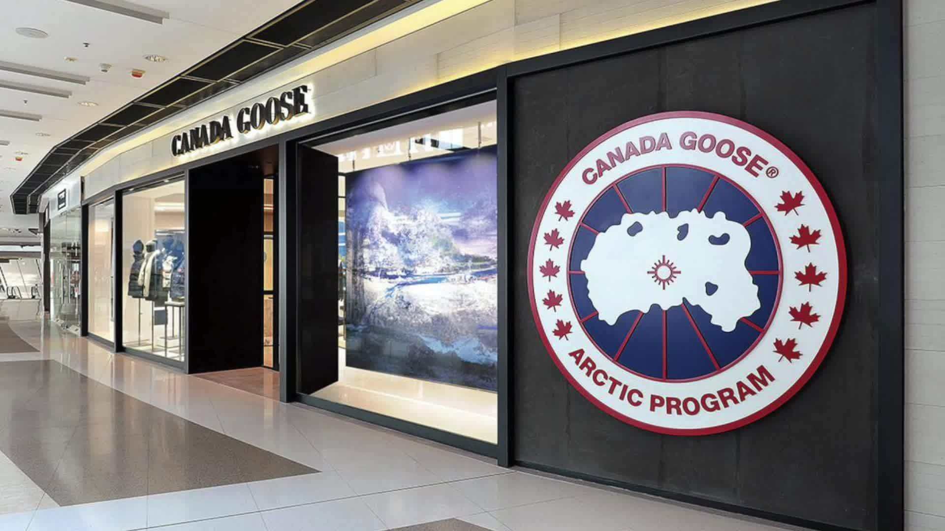 加拿大鹅的市值10天蒸发84亿，致其蒸发的原因是什么？