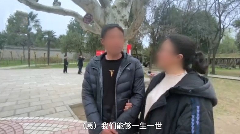 河南一景区现“连理枝”引情侣打卡,这“连理枝”有什么特殊含义?