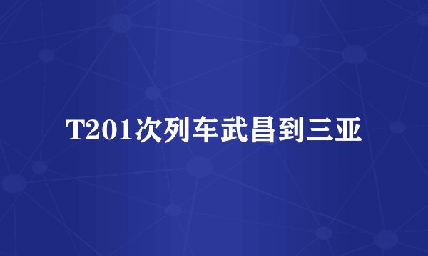 T201次列车武昌到三亚