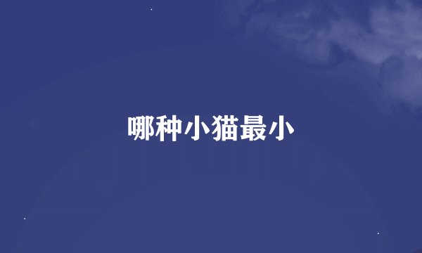 哪种小猫最小