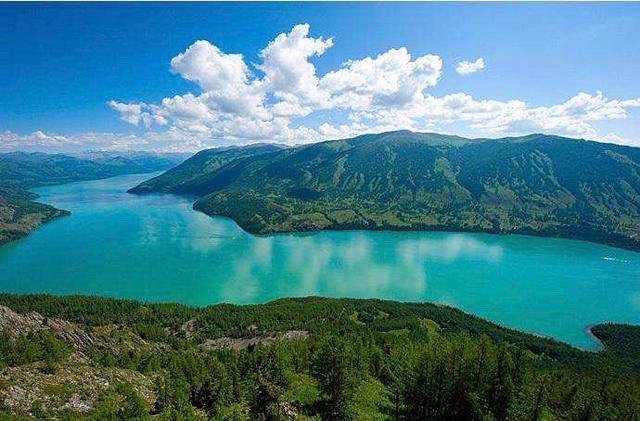 喀纳斯湖水怪是什么??是否是哲罗鲑