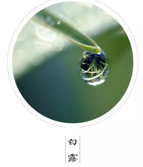 二十四节气于哪一年列入世界非物质文化遗产名录?