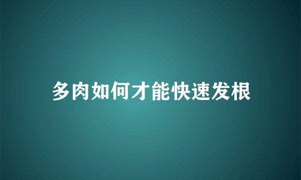 多肉如何才能快速发根