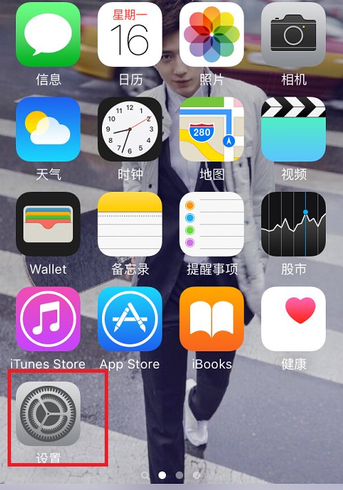 苹果7手机怎么设置香港网络