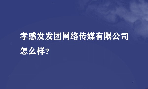 孝感发发团网络传媒有限公司怎么样?
