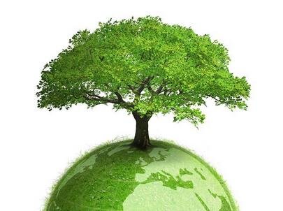 每年的6月5日为世界环境日,它是从哪年开始?