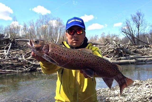 喀纳斯湖水怪是什么??是否是哲罗鲑