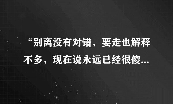 “别离没有对错,要走也解释不多,现在说永远已经很傻”这个歌叫什么名字