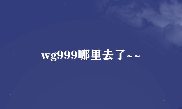 wg999哪里去了~~