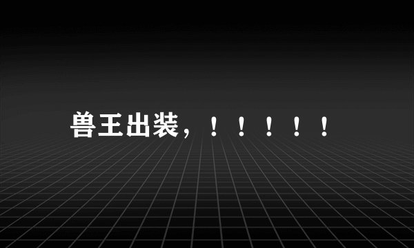 兽王出装，！！！！！