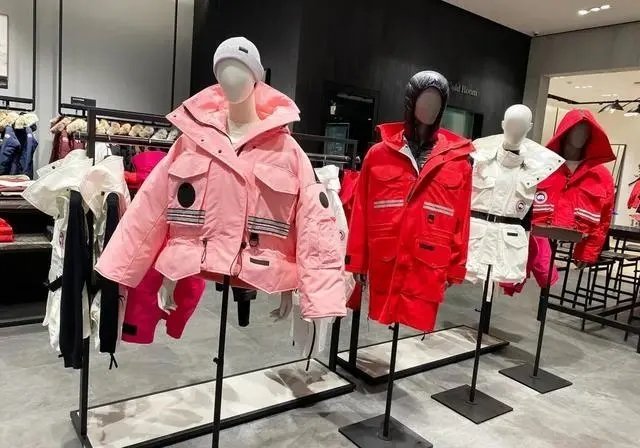 加拿大鹅的市值10天蒸发84亿，致其蒸发的原因是什么？