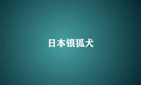 日本银狐犬