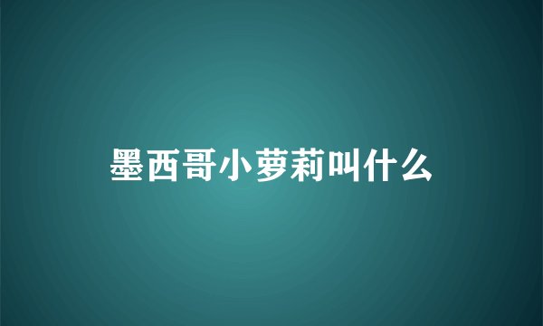 墨西哥小萝莉叫什么