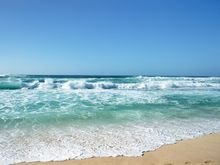 海洋的近义词是什么