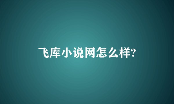 飞库小说网怎么样?