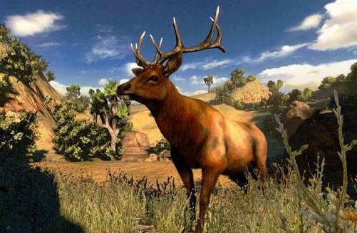 有什么是打猎的手机游戏