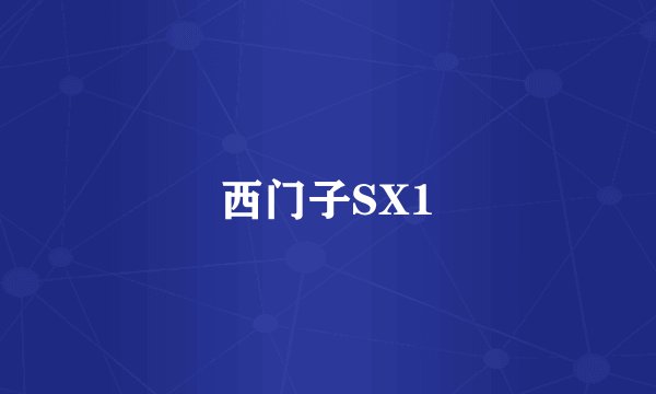 西门子SX1