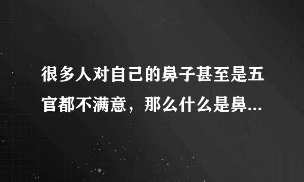 很多人对自己的鼻子甚至是五官都不满意，那么什么是鼻翼上提整形术？