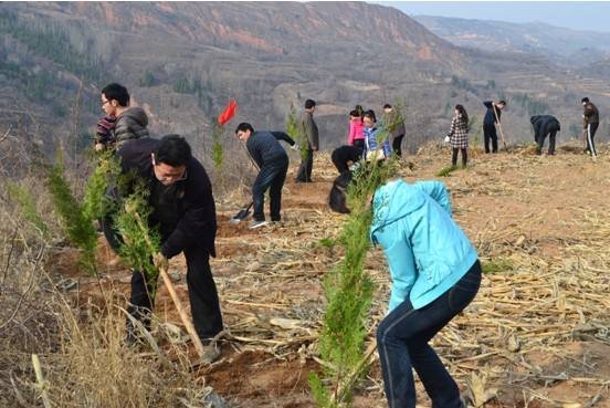 每年的6月5日为世界环境日,它是从哪年开始?