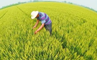 二十四节气于哪一年列入世界非物质文化遗产名录?