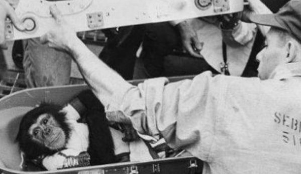 它是第一个“飞天”的黑猩猩汉姆,被发射到太空后,结局如何?